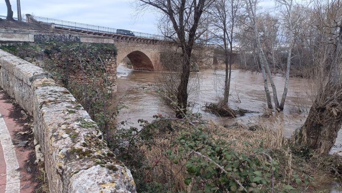 El Henares, en su nivel del viernes, 14 de marzo de 2025. (Foto: La Crónic@)