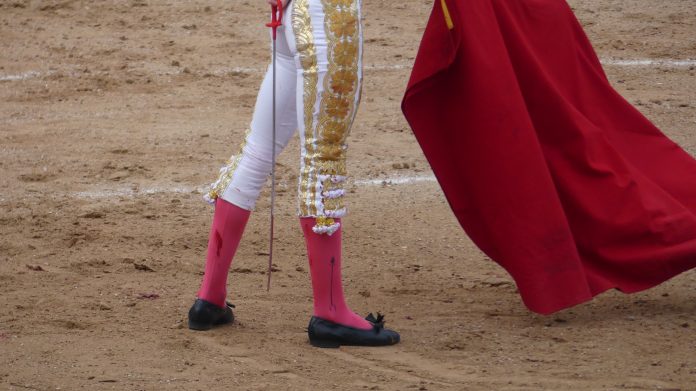 Esbozando un natural en la plaza de toros de Guadalajara. (Foto: La Crónic@)