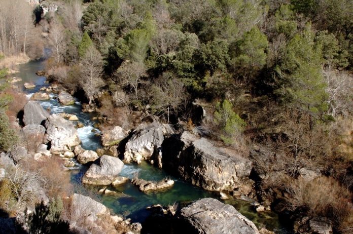 El Tajo en la provincia de Guadalajara, cerca de su nacimiento.
