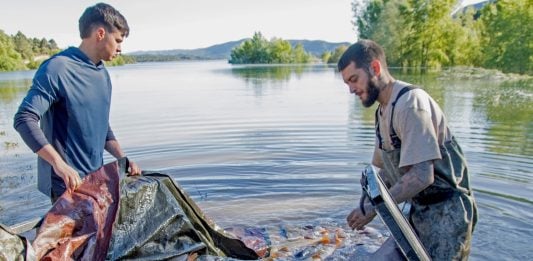 Dicen que han aprendido a cerrar el canal entre Buendía y Entrepeñas sin matar miles de peces La matanza de carpas movilizó a muchas personas en 2025.