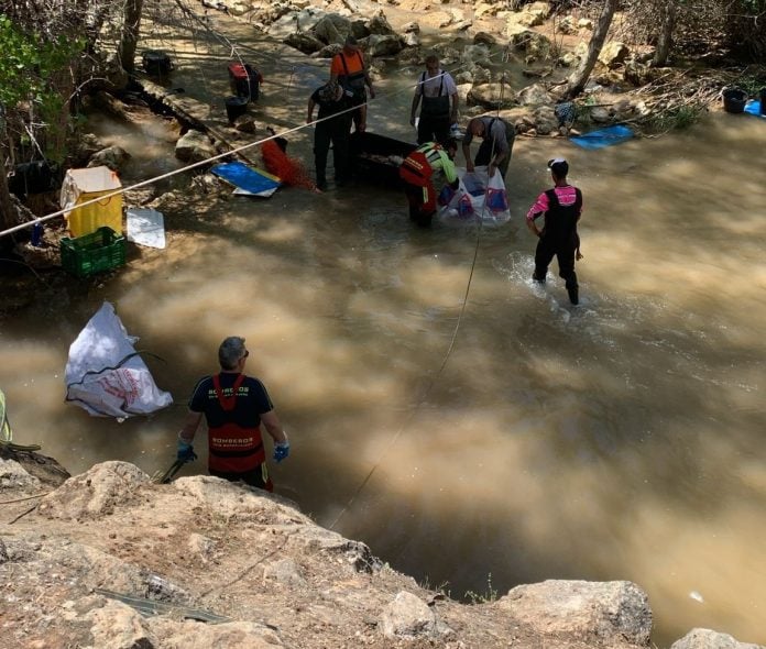 Trabajos para llevar hasta Buendía a parte de las carpas atrapadas en el canal que enlaza con Entrepeñas. (Foto: CHT)