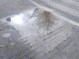 Charco por una de las últimas lluvias en Guadalajara. (Foto: La Crónic@)