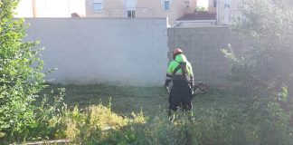 Tareas de desbroce en Cabanillas en mayo de 2025. (Foto: Ayuntamiento de Cabanillas del Campo)