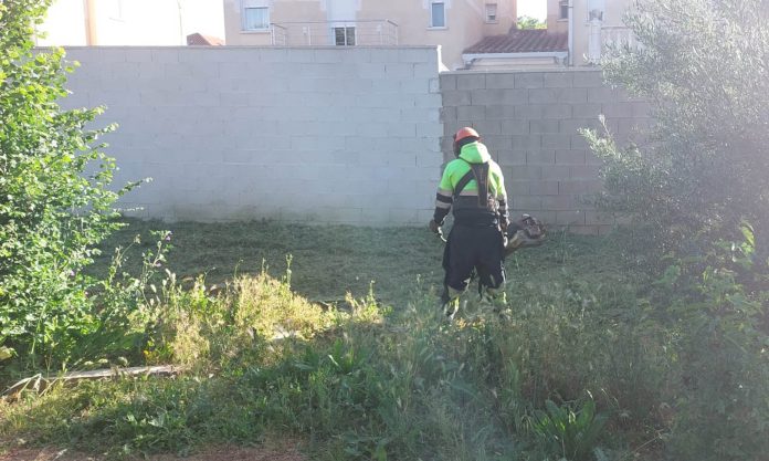 Tareas de desbroce en Cabanillas en mayo de 2025. (Foto: Ayuntamiento de Cabanillas del Campo)