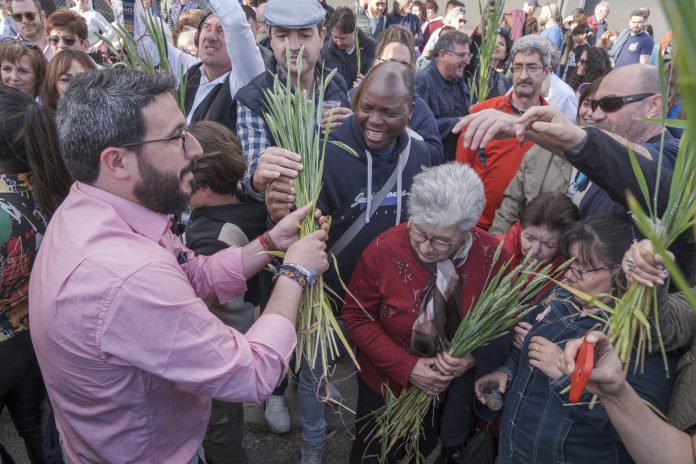 El propio alcalde de Azuqueca participó activamente en la Fiesta de la Espiga 2025.
