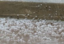 Se esperaban granizadas este lunes Ejemplo de los granizos caídos en Guadalajara el 8 de mayo de 2025. (Foto: La Crónic@)