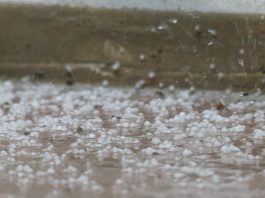 Ejemplo de los granizos caídos en Guadalajara el 8 de mayo de 2025. (Foto: La Crónic@)