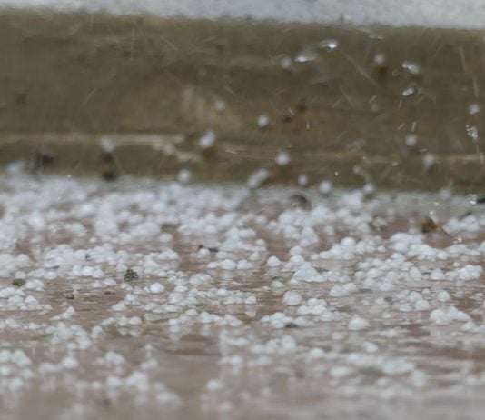 Ejemplo de los granizos caídos en Guadalajara el 8 de mayo de 2025. (Foto: La Crónic@)