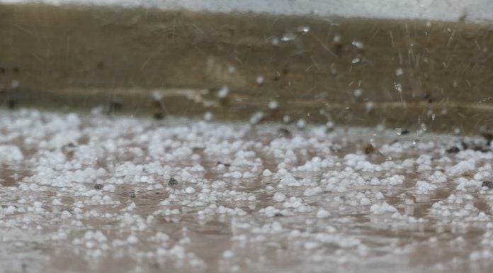 Se esperan granizadas este lunes Ejemplo de los granizos caídos en Guadalajara el 8 de mayo de 2025. (Foto: La Crónic@)