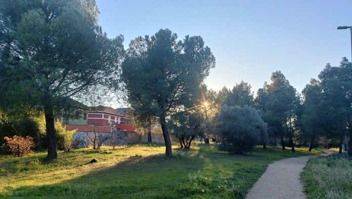 Parque en Cabanillas del Campo en la primavera de 2025. (Foto: La Crónic@)