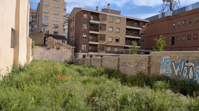 Selvático solar en la plaza de Prim de Guadalajara, en mayo de 2025, tras las lluvias de las últimas semanas. (Foto: La Crónic@)