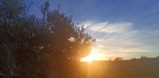 Alrededores de Guadalajara bajo el calor. (Foto: La Crónic@)