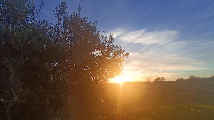 Alrededores de Guadalajara bajo el calor. (Foto: La Crónic@)