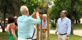 Árbol de los Donantes de Guadalajara.