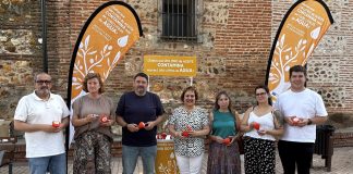 embudos mancomunidad vega del henares