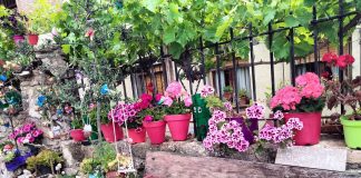 Espectacular lo conseguido por la ganadora, Nati Codonal.