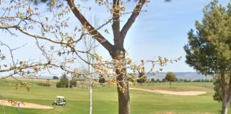 Cierra el campo de golf de Cabanillas Uno de los 18 hoyos del campo de golf de Cabanillas del Campo. (Foto: Google Maps)