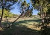 Uno de los "green" del campo de golf de Cabanillas, que se someterán a una mejora general. (Foto: La Crónic@)