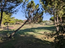 Uno de los "green" del campo de golf de Cabanillas, que se someterán a una mejora general. (Foto: La Crónic@)
