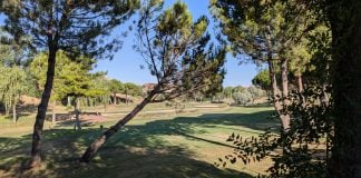 Uno de los "green" del campo de golf de Cabanillas, que se someterán a una mejora general. (Foto: La Crónic@)