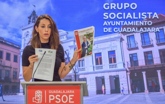 La portavoz socialista en el Ayuntamiento, Lucía de Luz.