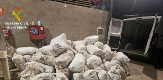 La Guardia Civil detiene a una persona e investigan a otra por 4 delitos de hurto y otro de receptación de ajos. REMITIDA / HANDOUT por GUARDIA CIVIL Fotografía remitida a medios de comunicación exclusivamente para ilustrar la noticia a la que hace referencia la imagen, y citando la procedencia de la imagen en la firma 14/7/2025