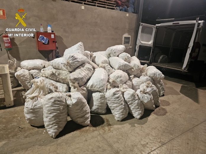 La Guardia Civil detiene a una persona e investigan a otra por 4 delitos de hurto y otro de receptación de ajos. REMITIDA / HANDOUT por GUARDIA CIVIL Fotografía remitida a medios de comunicación exclusivamente para ilustrar la noticia a la que hace referencia la imagen, y citando la procedencia de la imagen en la firma 14/7/2025