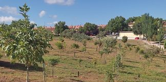 Bosque urbano de Aguas Vivas, en Guadalajara.