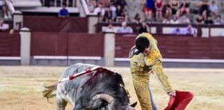 La izquierda manda en Madrid… cuando Cid de María torea al natural Cid de María, en uno de sus jaleados naturales el 7 de agosto de 2025 en la nocturna de Las Ventas. (Foto: Plaza1)