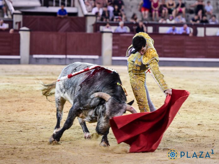 Cid de María, en uno de sus jaleados naturales el 7 de agosto de 2025 en la nocturna de Las Ventas. (Foto: Plaza1)