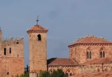 Música y paisaje con el Festival Ex Corde en Sigüenza y Maranchón Tumultuosa visita de cigüeñas a Sigüenza en 2019.
