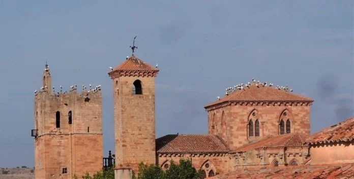 Tumultuosa visita de cigüeñas a Sigüenza en 2019.
