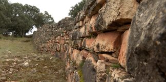 El castro celtíbero de Castilviejo.