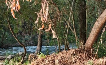 Fotografía del río Henares esgrimida por el PSOE de Guadalajara el 14 de agosto de 2025.