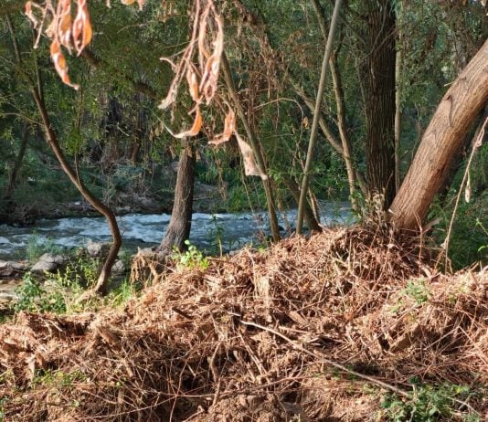 Fotografía del río Henares esgrimida por el PSOE de Guadalajara el 14 de agosto de 2025.