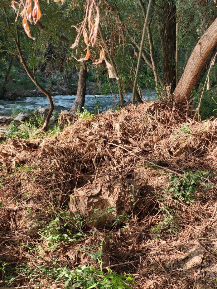 Fotografía del río Henares esgrimida por el PSOE de Guadalajara el 14 de agosto de 2025.