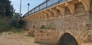 Vista parcial del puente árabe de Guadalajara. (Foto: Aike)
