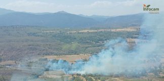 Incendio en Campillo de Ranas, el 25 de agosto de 2025. (Foto: Infocam)