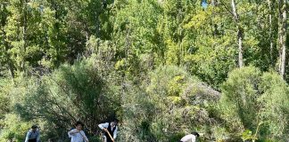 Gancheros en Peralejos de las Truchas el 30 de agosto de 2025, durante la fiesta de este año.