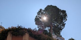 El sol, a sus anchas desde primeras horas de la mañana en la plaza del Jardinillo. (Foto: La Crónic@)