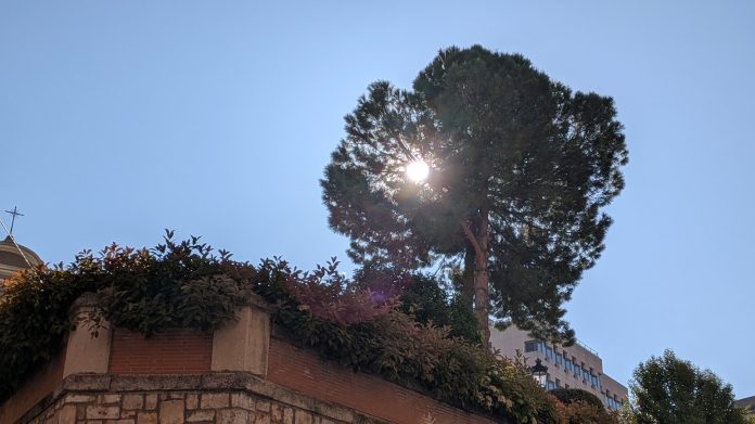 El sol, a sus anchas desde primeras horas de la mañana en la plaza del Jardinillo. (Foto: La Crónic@)