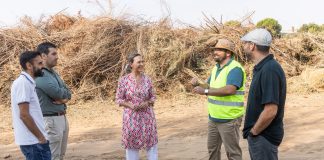 planta de tratamiento de residuos vegetales