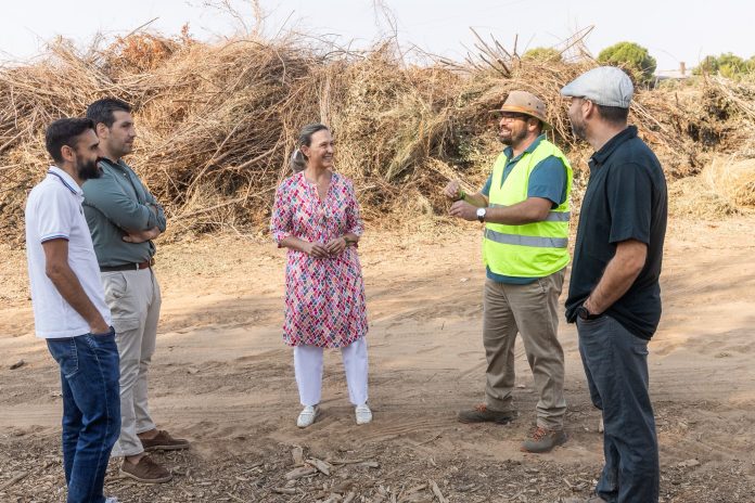 planta de tratamiento de residuos vegetales