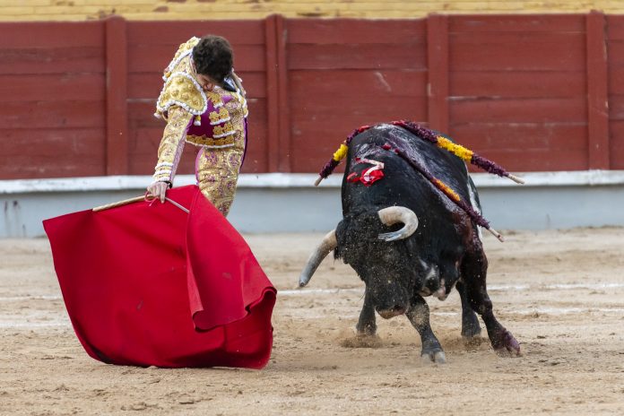 toros