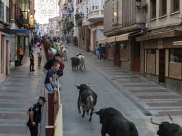 Encierros de Guadalajara