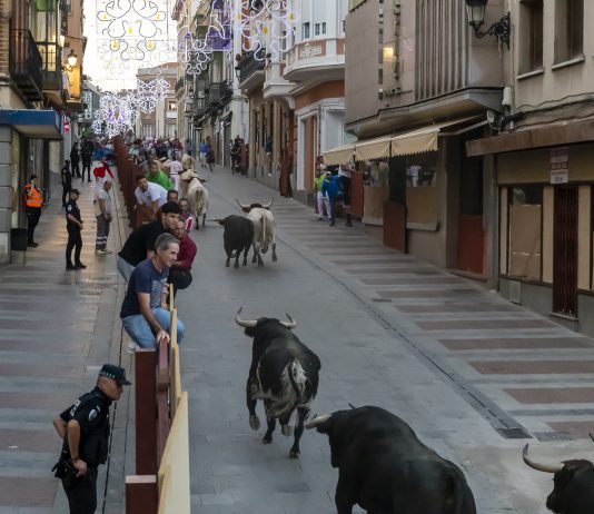 Encierros de Guadalajara