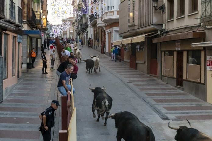 Encierros de Guadalajara