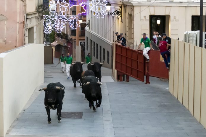 Hasta ahí todo iba bien, o casi, en el encierro más largo de la historia de Guadalajara. (Foto: Luis Díaz Viejo)