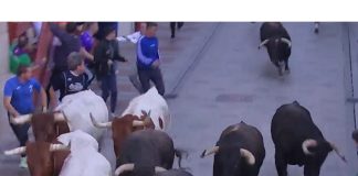 La televisión regional, CMM, ha vuelto a ofrecer imágenes emocionantes del encierro de Guadalajara, como esta con el último toro descolgado del resto. (Foto: CMM)