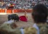 La Junta promocionará las corridas de toros desde un nuevo organismo oficial Una de las corridas de las feria de Guadalajara de 2025 en imagen captada por Álvaro Arroyo para La Crónic@.